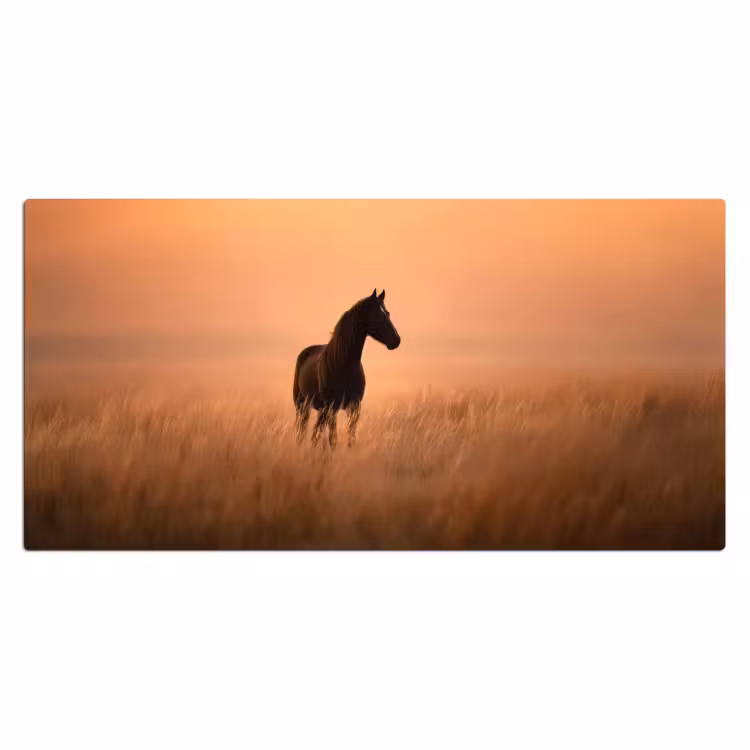 Paard - Grasveld - Zonsondergang Muismat XXL klein -3d_leeg