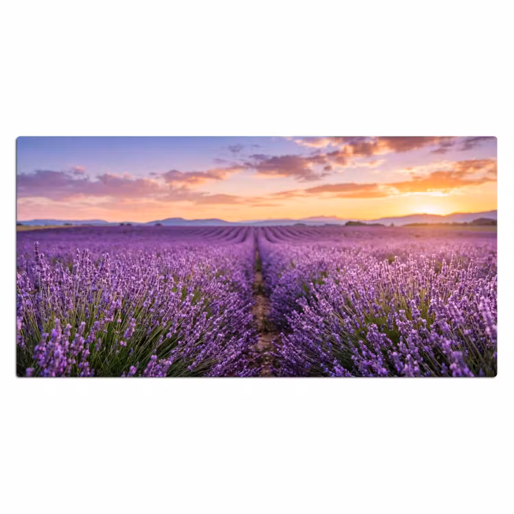 Lavendel - Veld - Natuur - Paars Muismat XXL klein -3d_leeg