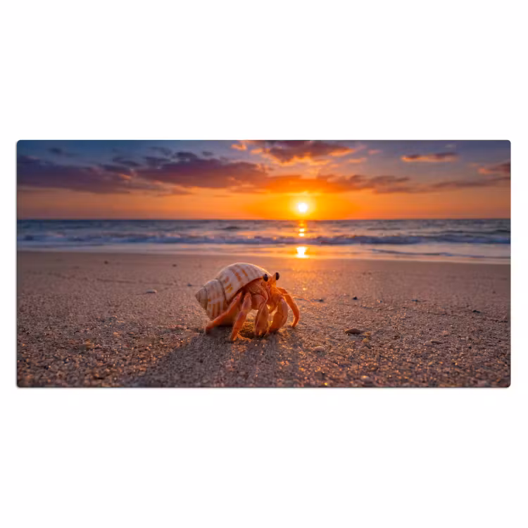 Kreeft - Strand - Natuur - Zonsondergang - Oranje Muismat XXL klein -3d_leeg