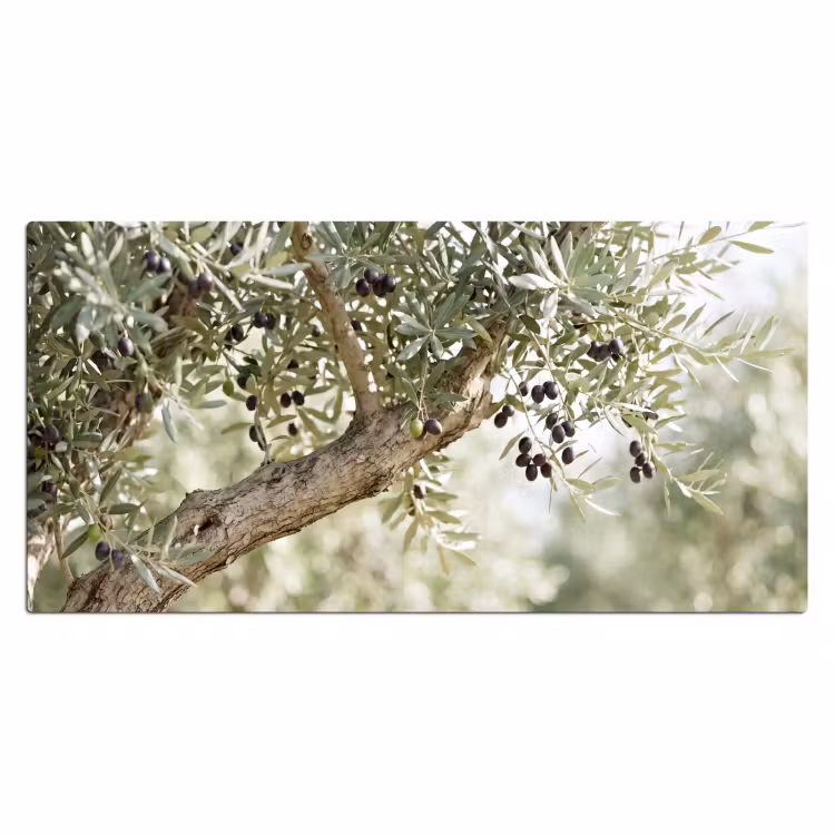 Desk Mat - Olive tree - branch - green - Olijfboom - tak - groen Muismat XXL klein