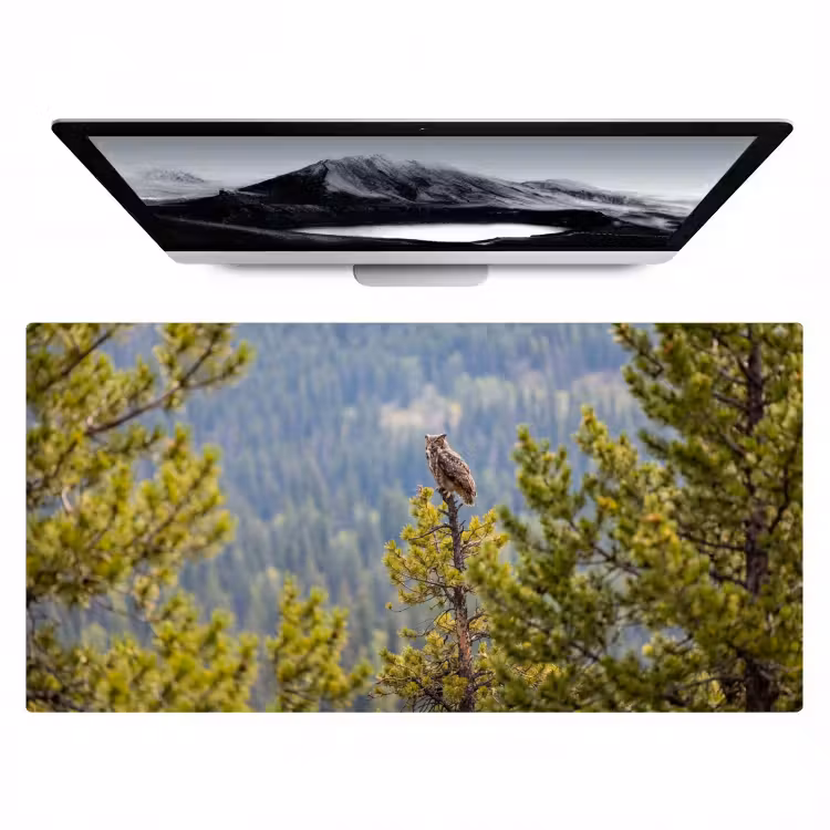 Uil - Oehoe - Bomen - Natuur Muismat XXL klein -zzz3d