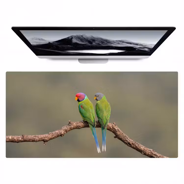 Papagaai - Tak - Natuur - Kleurrijk Muismat XXL klein -zzz3d