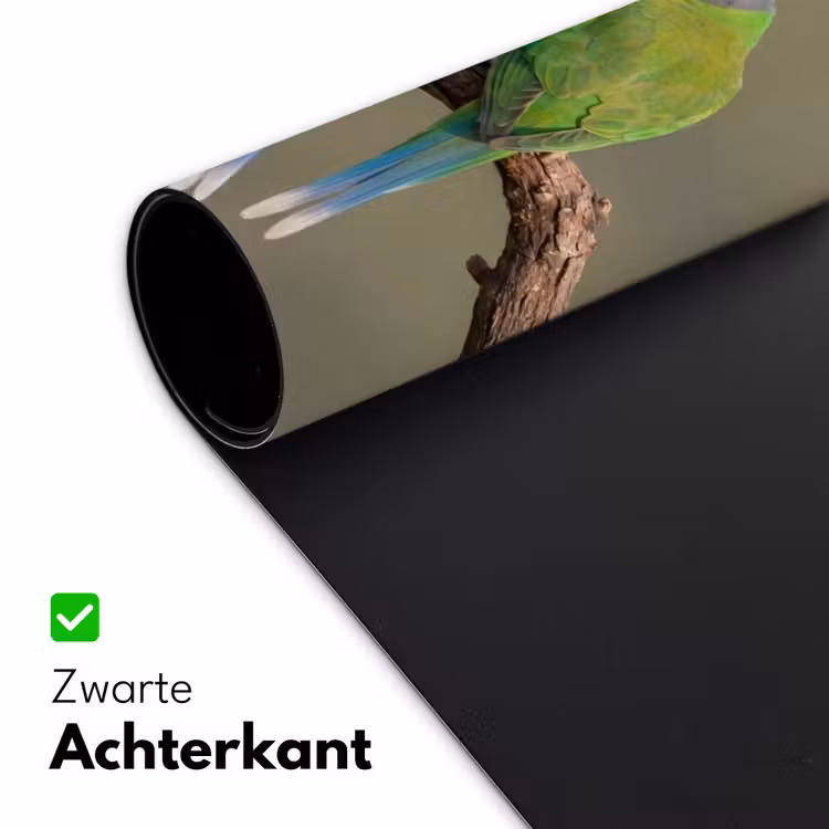 Papagaai - Tak - Natuur - Kleurrijk Muismat XXL klein -sfeer2
