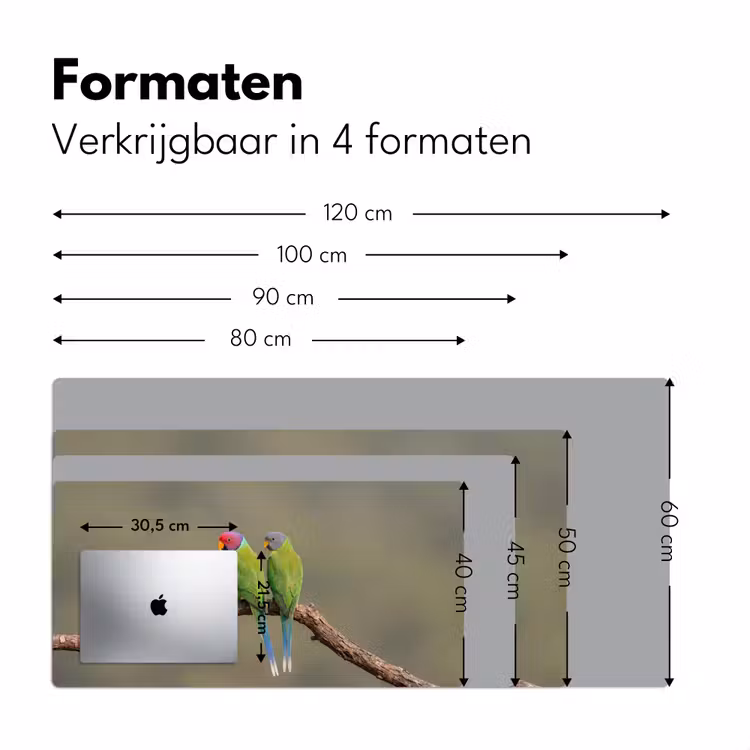 Papagaai - Tak - Natuur - Kleurrijk Muismat XXL klein -sfeer5