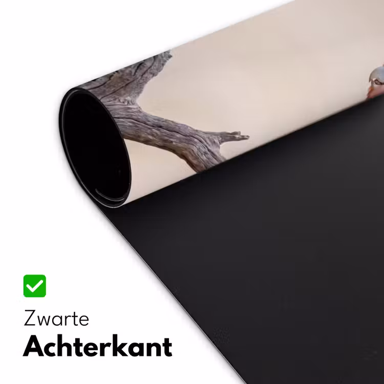 Papagaai - Tak - Roze Muismat XXL klein -sfeer2