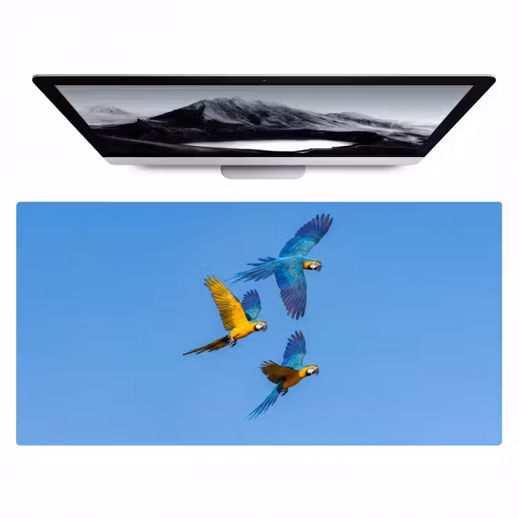 Papagaai - Vliegen - Blauw - Geel Muismat XXL klein -zzz3d