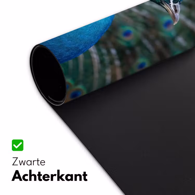 Pauw - Veren - Blauw Muismat XXL klein -sfeer2