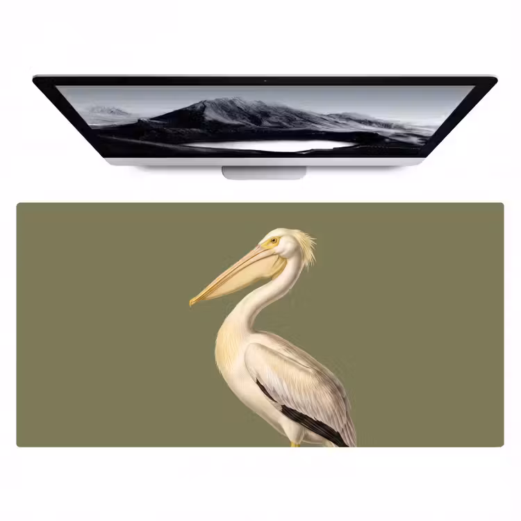 Pelikaan - Wit - Vogel - Klassiek - Natuur Muismat XXL klein -zzz3d