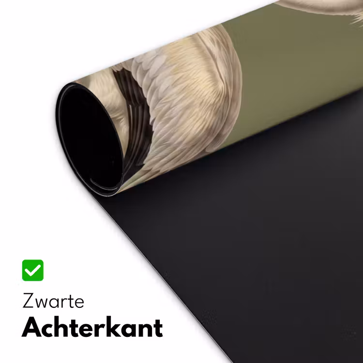Pelikaan - Wit - Vogel - Klassiek - Natuur Muismat XXL klein -sfeer2
