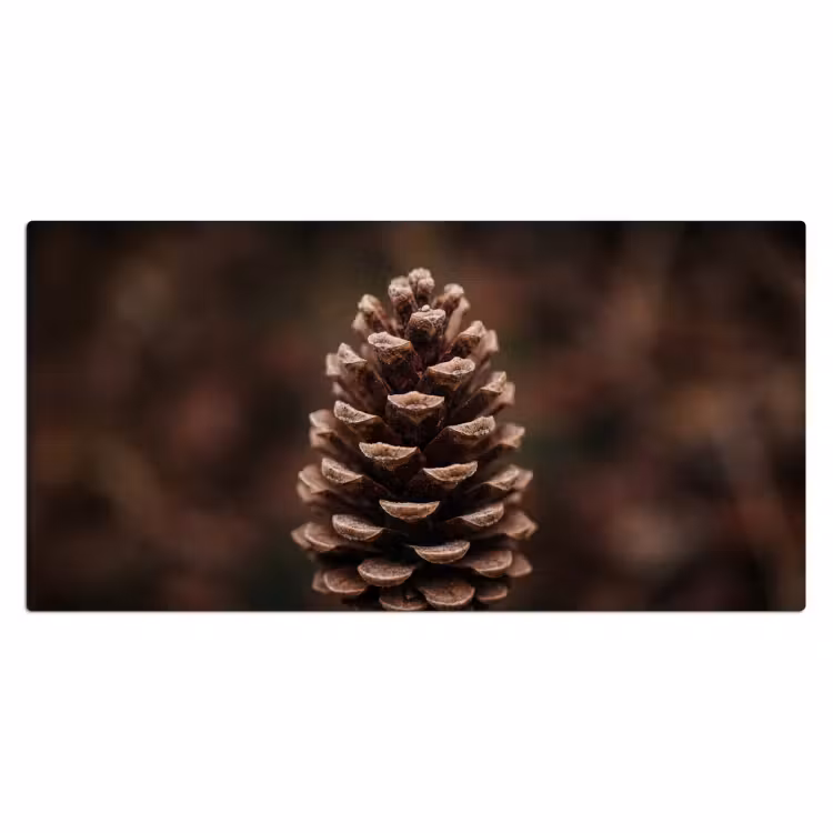 Dennenappel - Bos - Herfst - Bruin - Sfeervol Muismat XXL klein -3d_leeg