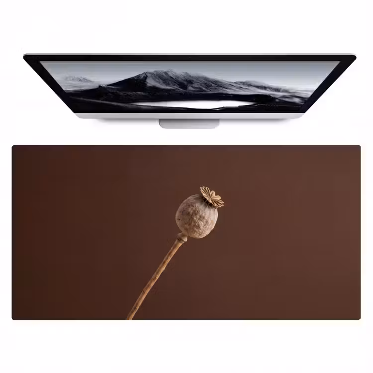 Papaverbol - Droogbloem - Bruin - Minimalistisch Muismat XXL klein -zzz3d