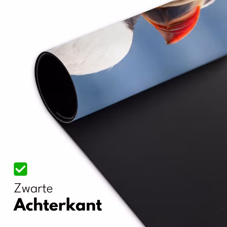 Papegaaiduiker - Portret - Natuur Muismat XXL klein -sfeer2