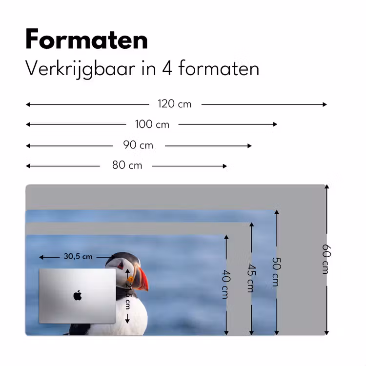 Papegaaiduiker - Portret - Natuur Muismat XXL klein -sfeer5