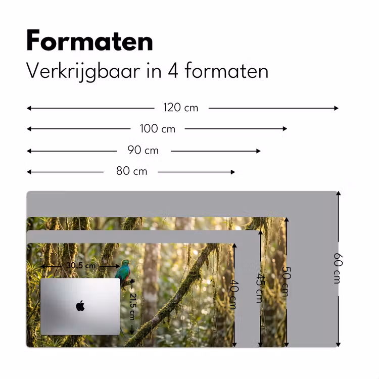 Quetzal - Jungle - Natuur - Groen Muismat XXL klein -sfeer5