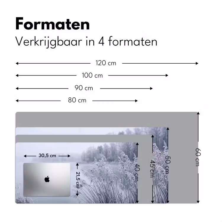 Riet - Bevroren - Winter - Natuur Muismat XXL klein -sfeer5