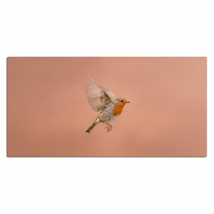 Roodborst - Natuur - Roze Muismat XXL klein -3d_leeg