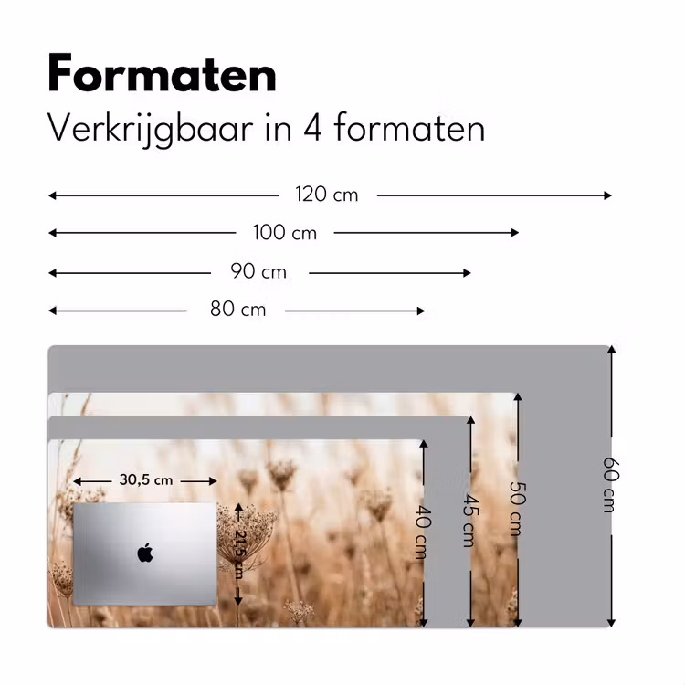 Schermbloem - Droogbloem - Winter - Beige - Minimalistisch Muismat XXL klein -sfeer5
