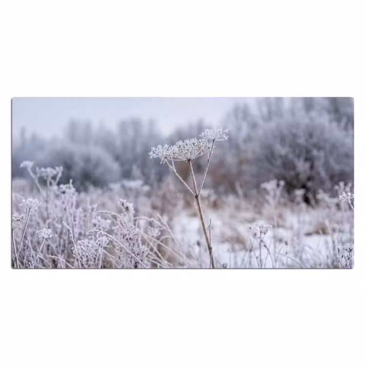 Schermbloem - Rijp - Kristallen - Winter - Delicaat Muismat XXL klein -3d_leeg