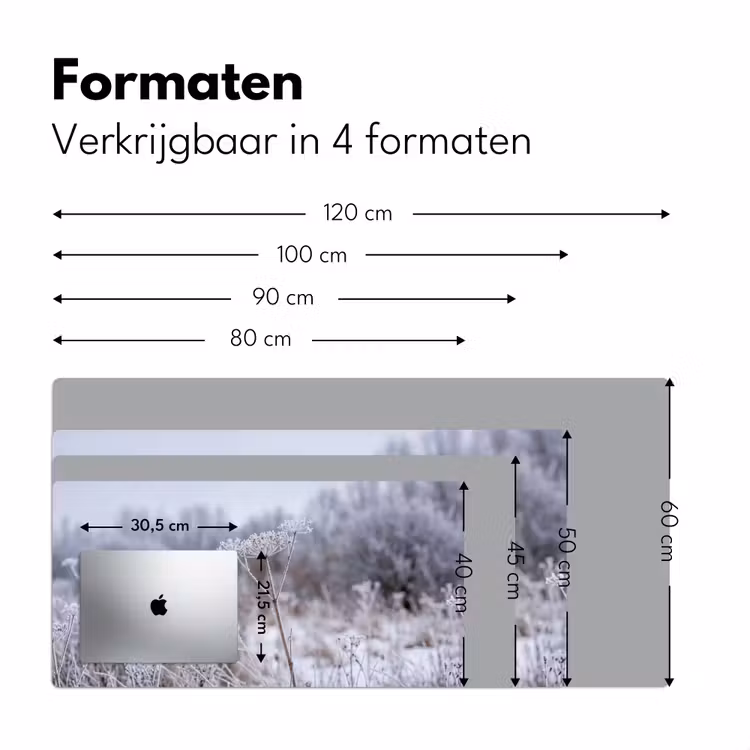 Schermbloem - Rijp - Kristallen - Winter - Delicaat Muismat XXL klein -sfeer5