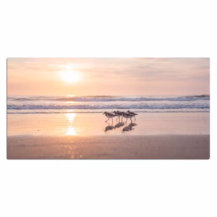 Zee - Vogels - Strand Muismat XXL klein -3d_leeg