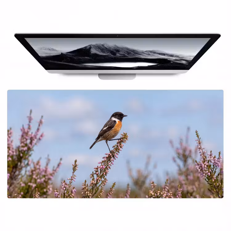 Roodborsttapuit - Heide - Paars - Natuur - Sfeervol Muismat XXL klein -zzz3d