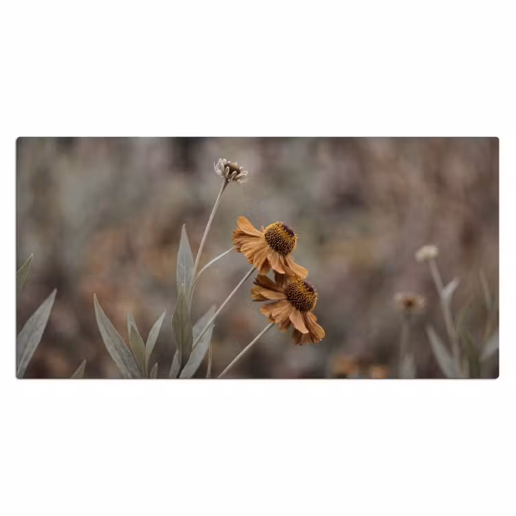 Zonnehoed - Droogbloemen - Geel - Warm Muismat XXL klein -3d_leeg