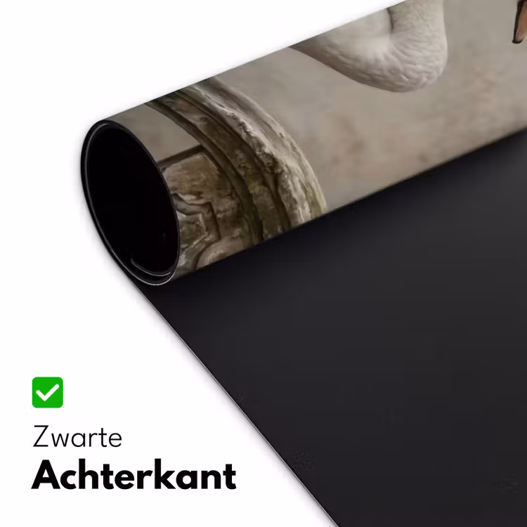 Zwaan - Elegant - Dieren - Wit Muismat XXL klein -sfeer2