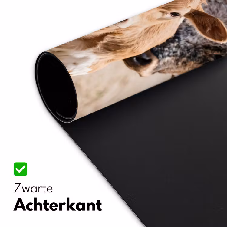 Texas Longhorn - Kalf - Weide - Dieren Muismat XXL klein -sfeer2