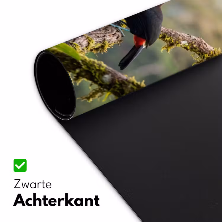 Toekan - Jungle - Natuur - Kleurrijk Muismat XXL klein -sfeer2