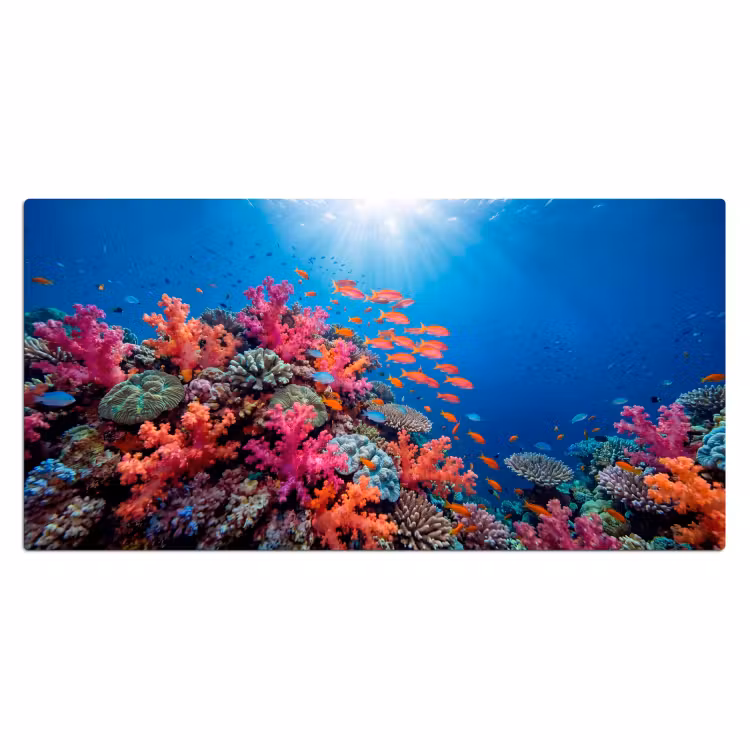 Onderwater - Koraalrif - Vissen - Oceaan - Natuur Muismat XXL klein -3d_leeg