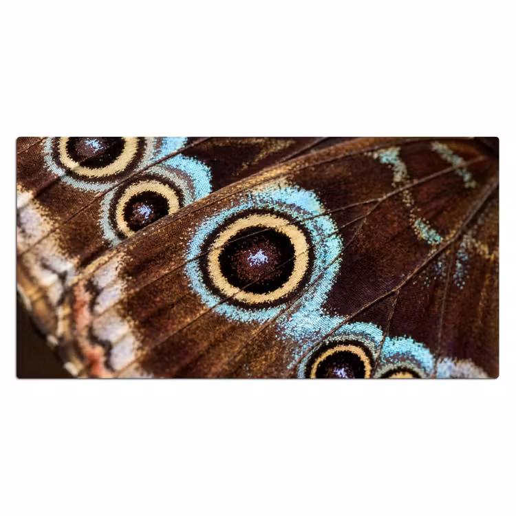 Vleugels - Vlinder - Blauw Muismat XXL klein -3d_leeg