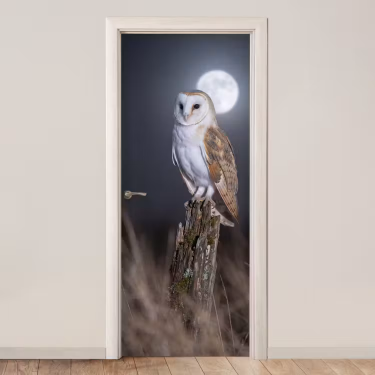 Kerkuil - Maan - Nacht deurposter klein -3d_beige