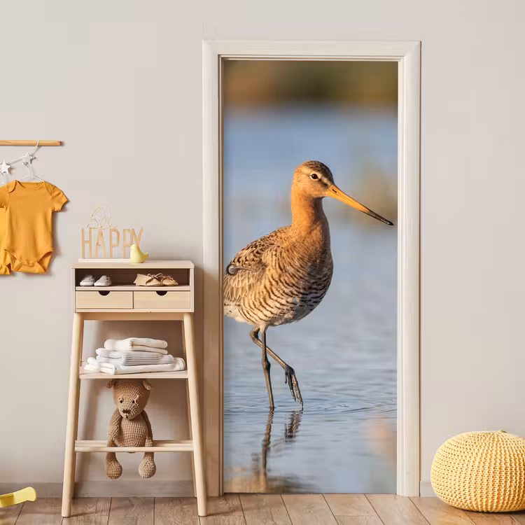Vogel - Steltloper - Water - Natuur deurposter klein -sfeer4
