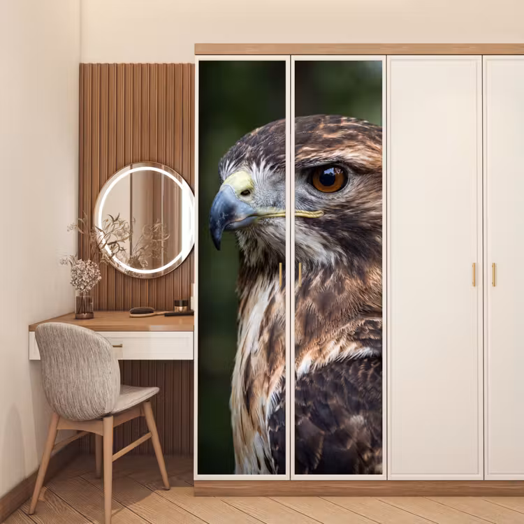 Buizerd - Roofvogel - Natuur - Bruin deurposter klein -sfeer3