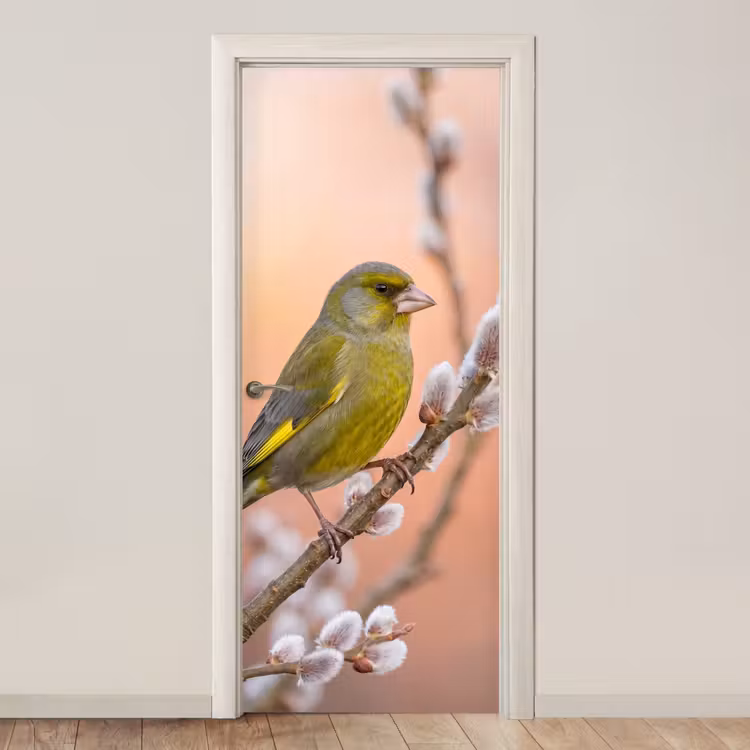 Groenling - Katjes - Lente - Natuur - Zacht deurposter klein -3d_beige
