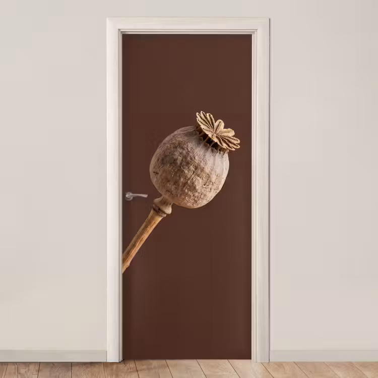 Papaverbol - Droogbloem - Bruin - Minimalistisch deurposter klein -3d_beige