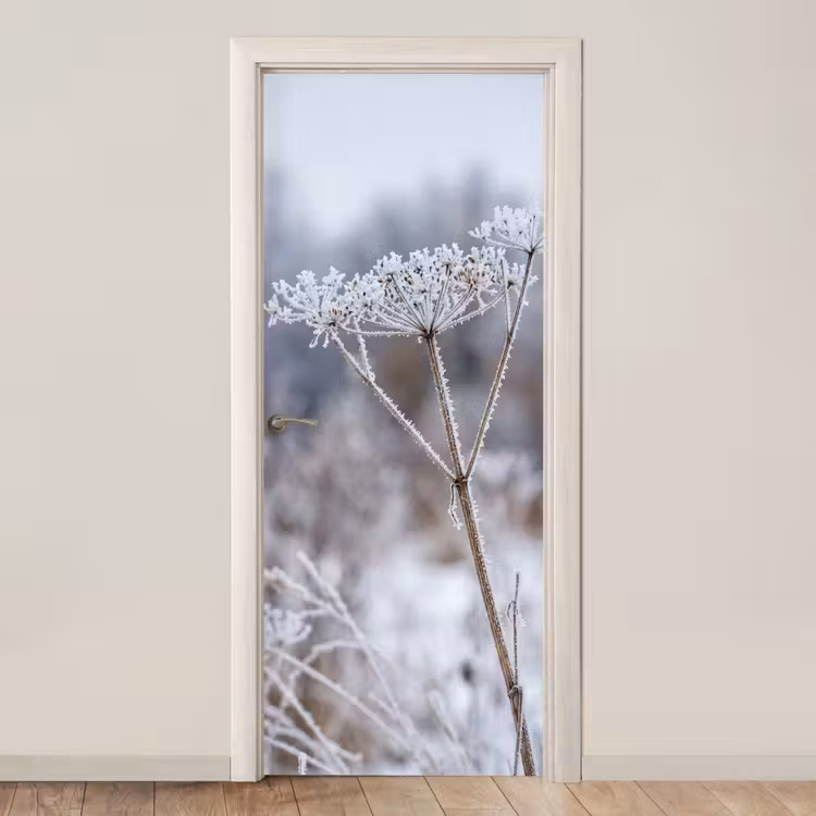 Schermbloem - Rijp - Kristallen - Winter - Delicaat deurposter klein -3d_beige