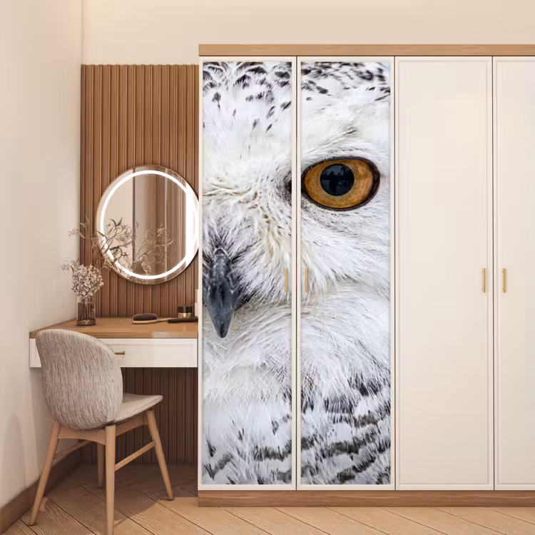 Sneeuwuil - Oog - Wildlife - Wit deurposter klein -sfeer3