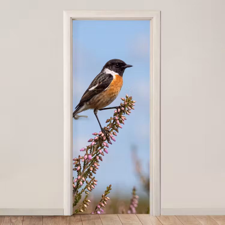 Roodborsttapuit - Heide - Paars - Natuur - Sfeervol deurposter klein -3d_beige