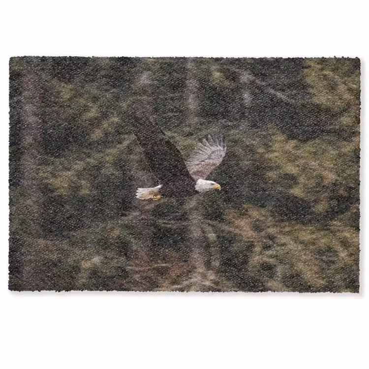 Zeearend - Vliegen - Bos - Natuur Deurmat klein -zkaufland3d