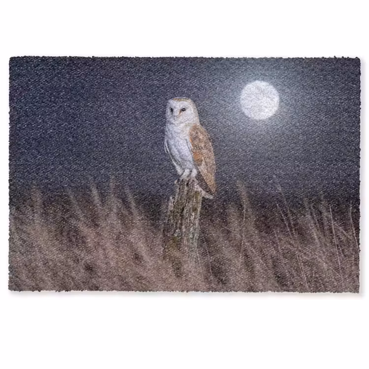 Kerkuil - Maan - Nacht Deurmat klein -zkaufland3d