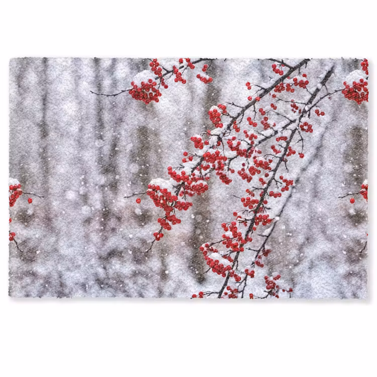 Bessen - Takken - Sneeuw - Winter - Kleurrijk Deurmat klein -zkaufland3d