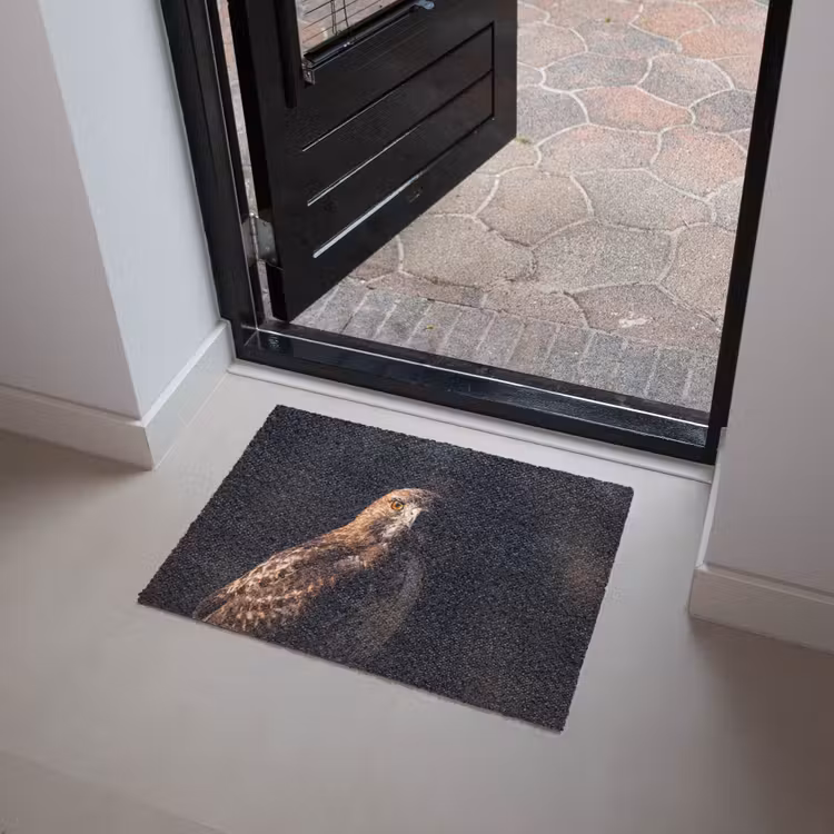 Roofvogel - Buizerd - Bruin Deurmat klein -sfeer5