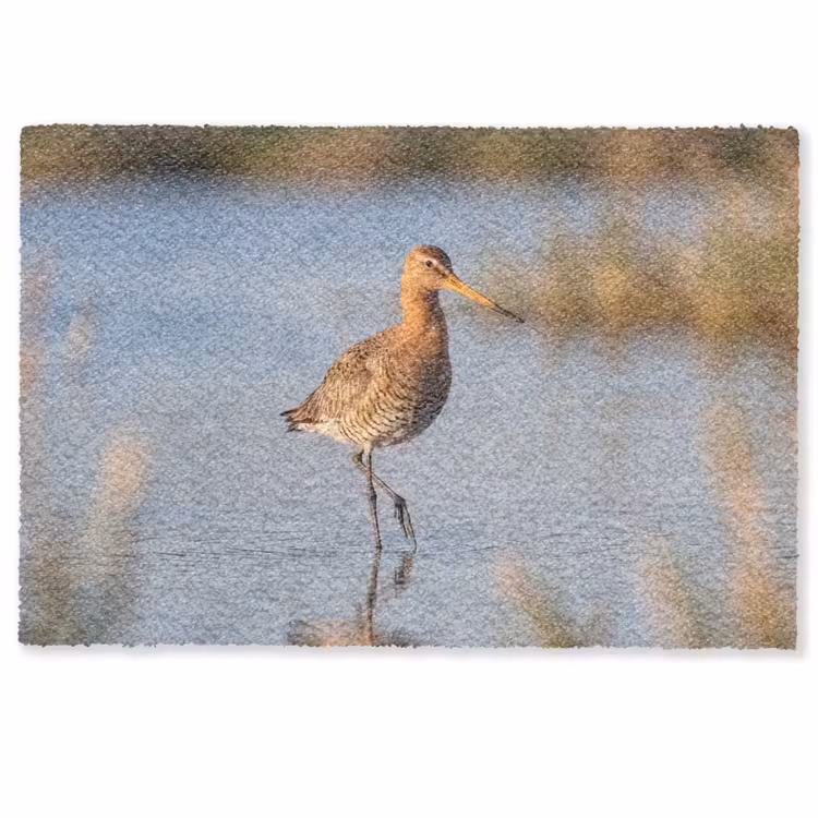 Vogel - Steltloper - Water - Natuur Deurmat klein -zkaufland3d