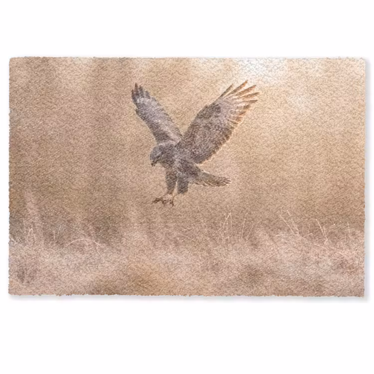 Buizerd - Roofvogel - Natuur - Bruin Deurmat klein -zkaufland3d