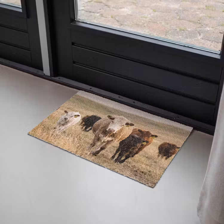 Runderen - Kudde - Landschap - Weide - Rustig Deurmat klein -sfeer2