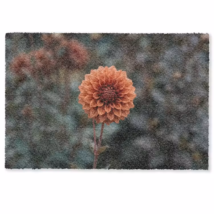 Dahlia - Bloem - Natuur - Sfeervol Deurmat klein -zkaufland3d