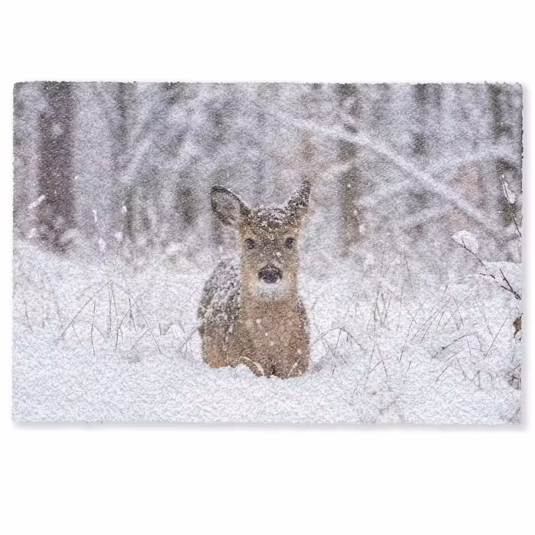 Hert - Sneeuw - Bos - Dieren - Vertederend Deurmat klein -zkaufland3d