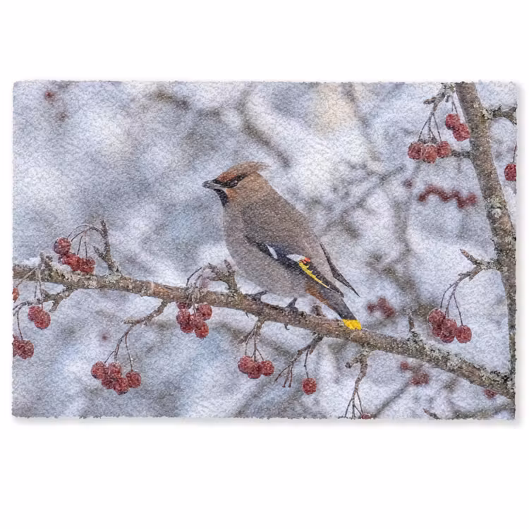 Pestvogel - Bessen - Winter - Natuur Deurmat klein -zkaufland3d