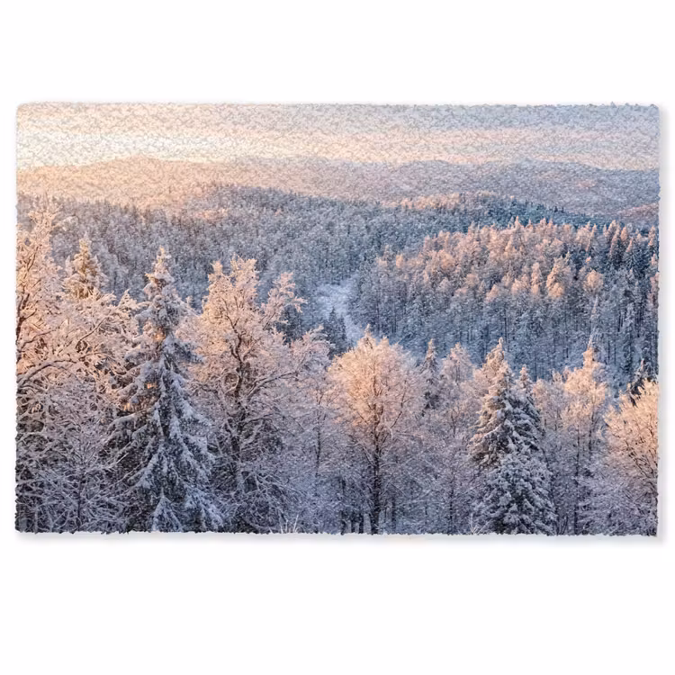 Bos - Bergen - Goud - Winter - Warm Deurmat klein -zkaufland3d
